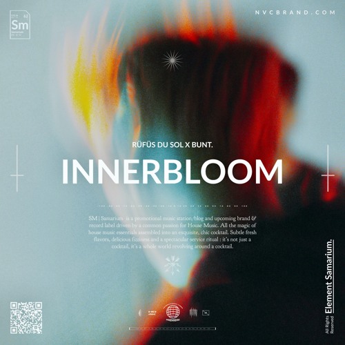 RÜFÜS DU SOL - Innerbloom (BUNT. 'In The Round' Remix)