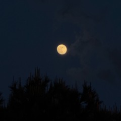 Decalius - Lost Tapes (2017)