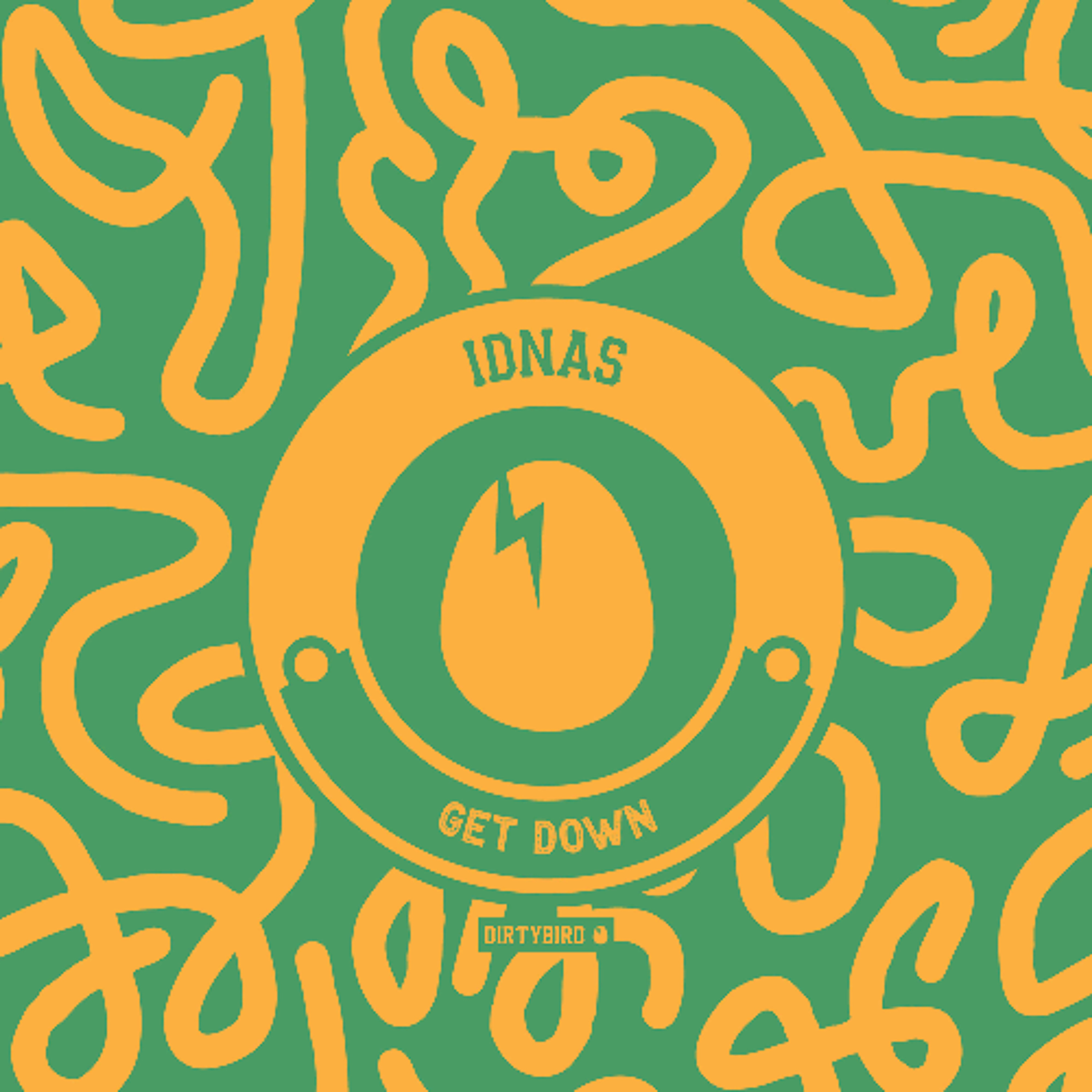 IDNAS - Get Down [BIRDFEED] episode artwork