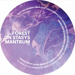 MNMT Premiere: Forest On Stasys – Ofrenda (Alfred Czital Midnight Edit)