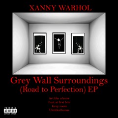 XANNY WARHOL - GREY ROOM