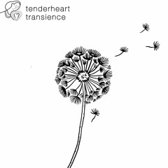 Premiere | Tenderheart - Transience (Original Mix)