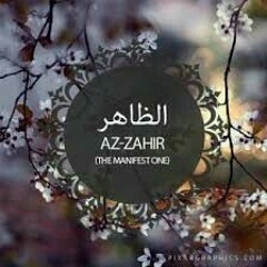 لأنك ظاهر في كل شيء - النقشبندي
