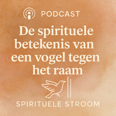 De spirituele betekenis van een vogel tegen het raam