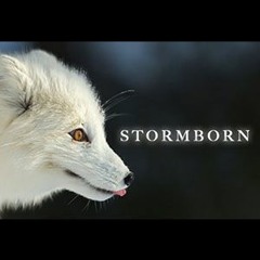 Stormborn Titles