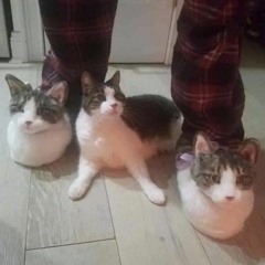 Liili — mrak (i44th remix)