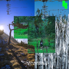 Red Trash Panda - Orchards