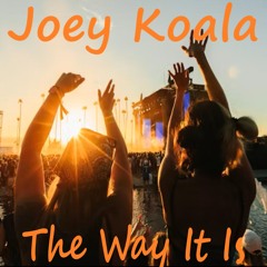 Joey Koala - The Way It Is