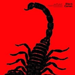 [BCR001] Pierre Locher - Introductory Groove (Original Mix)