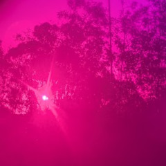 5657 - .ft David O'Connor [bass]