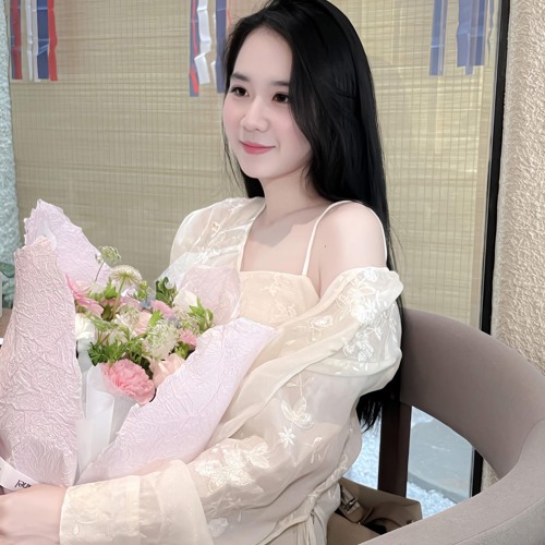 Chẳng Hợp Nhau Đâu - Lê Bảo Bình - Huy Pt Remix