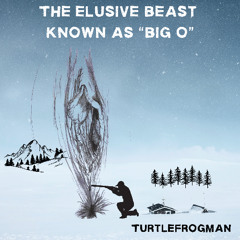 The Elusive Beast Known As "BIG O"