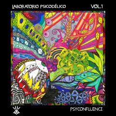 01 Ardhanari- Confluencia