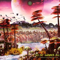 Tatic Spectral - V.A Hot Summer Vol.1 - Beyond Visions Records