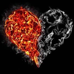 Slow Dancing in a Burning Room