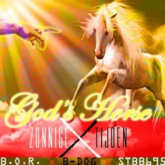 B.O.R. X B - Dog - STBB695 God's Horse - Zonnige Tijden