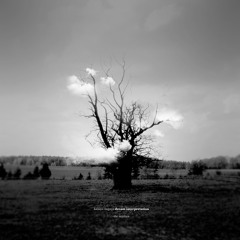 Hypnotic / Dub techno | dnb | jungle | dub | ambient | experimental | reggae | psy #1 - 8