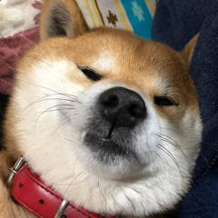 Sleep boi