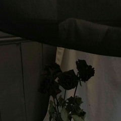 캔 아 씨유