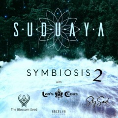 Sky Soul & Suduaya - Levitation (Original Mix)