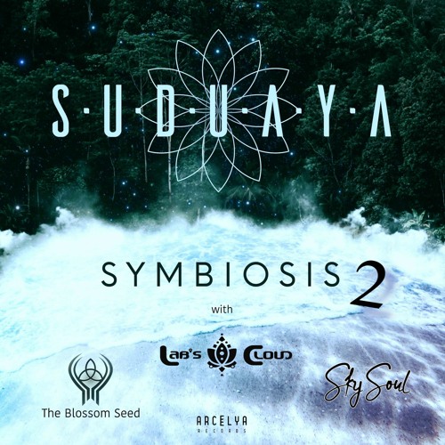 Sky Soul & Suduaya - Levitation (Original Mix)