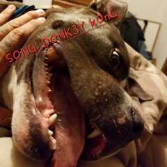 Donk3Y Kong