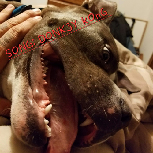 Donk3Y Kong