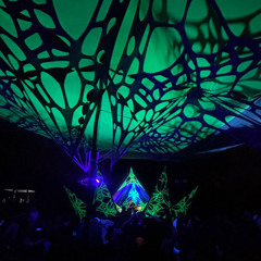 at @SETNATURE24