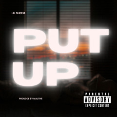 Lil Sheem - Put Up