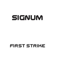 First Strike (Original Mix)