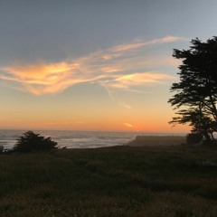 Little wings of gold (2020)