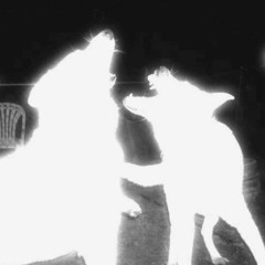 Prometeo ft. Fons (prod. Alonne)