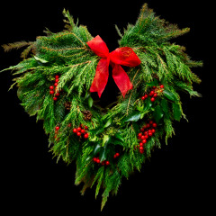 Aurora's Christmas Anthem