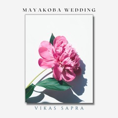 Mayakoba Wedding