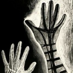 MIDI Tiere - Diagnostic