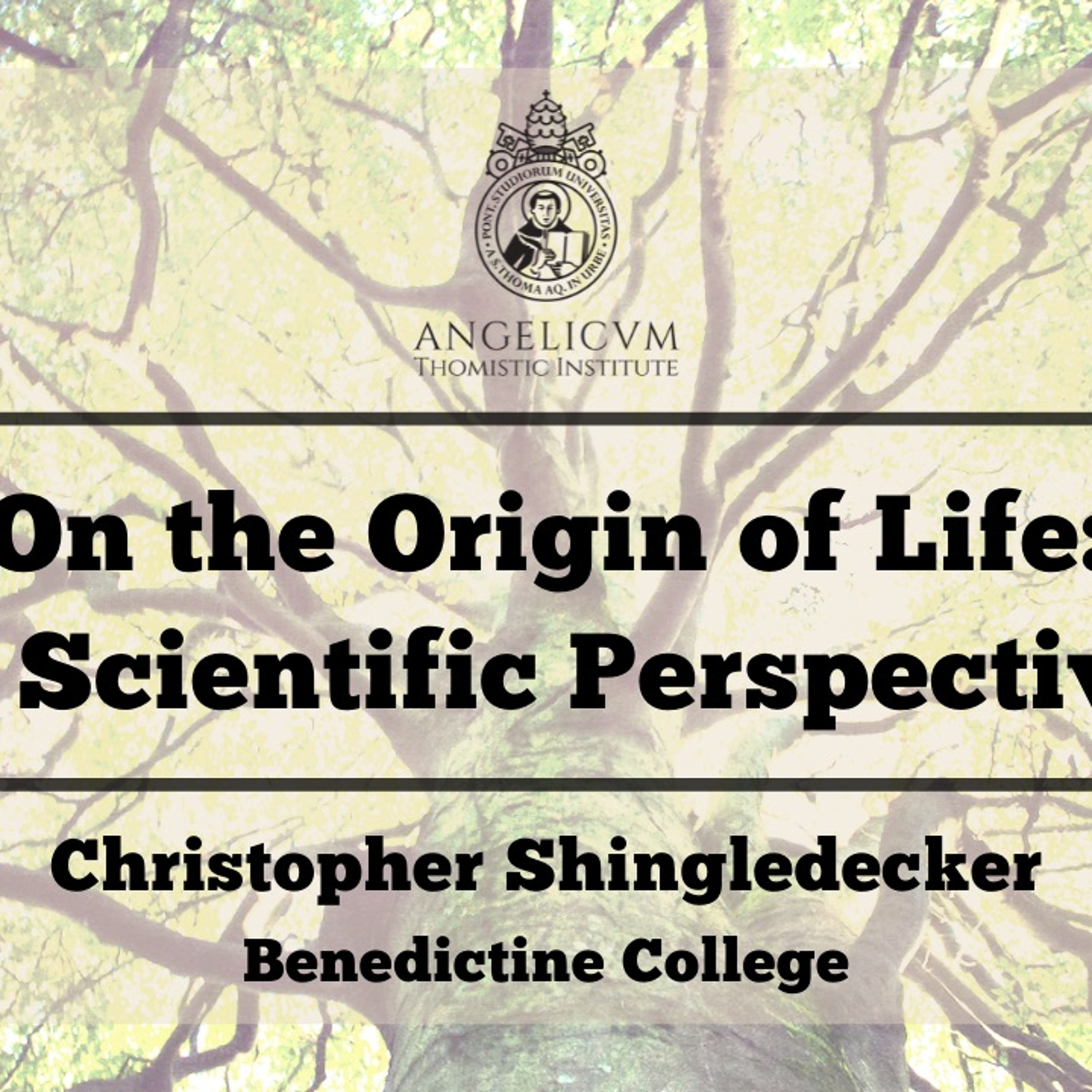 A Scientific Perspective | Christopher Schingledecker