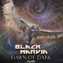 Black Marvin - Dawn Of Dark (Preview) [SOL MUSIC]