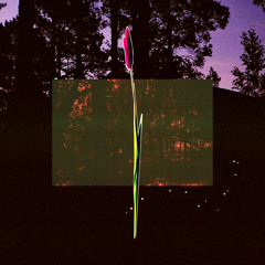 Allrounder - She (Hot Chocolate)