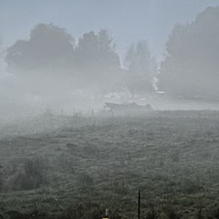 ThisWorldAin’tBeenGreat (Prod.CRCL)