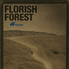 Florish Forest - The right time, the right place