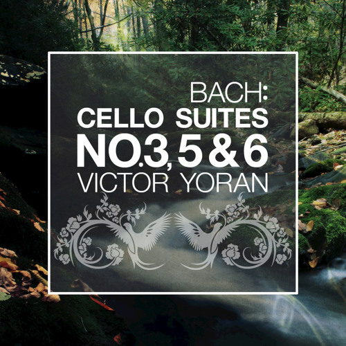 Cello Suite No. 5 in C Minor, BWV 1011: III. Courante