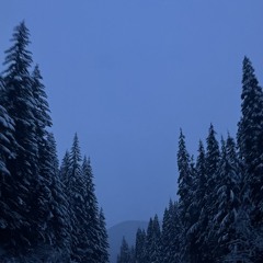 VALLEY