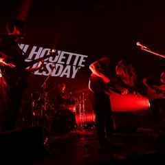 Nesting Nesting (Live Performance)