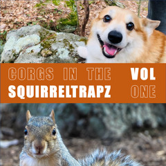 Corgs in the Squirreltrapz