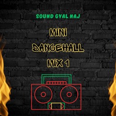 Mini Dancehall Mix 1 x Sound Gyal Naj