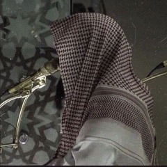 Luhaidan - Surah Haqqah