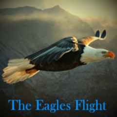 The Eagles Flight