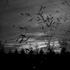 the art of letting go - by özden gülsün