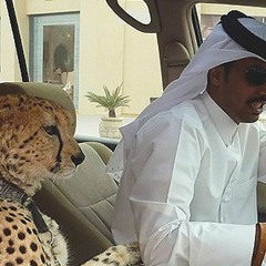 Dubai Ft. Jarvis Neely, Young Dick