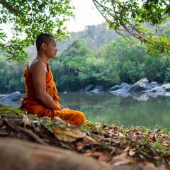 Ep. 455 Meditazione Anapanasati passi 1-8